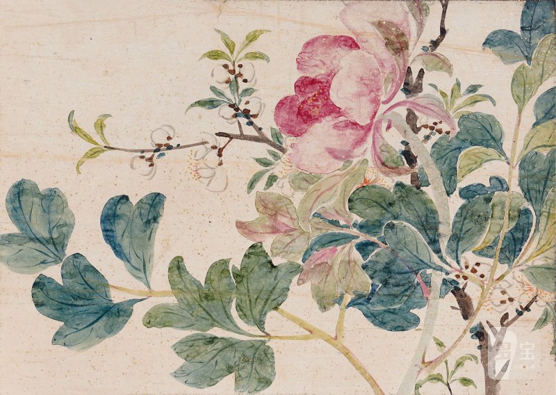 近现代 无款 花卉册页 - 图1